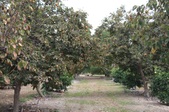 Enlarge photo 68