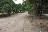 Enlarge photo 69