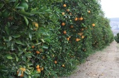 Enlarge photo 88