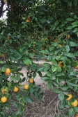Enlarge photo 89