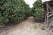 Enlarge photo 91