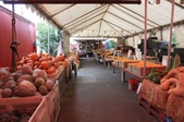 Enlarge photo 92
