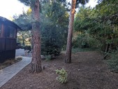 Enlarge photo 24