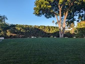 Enlarge photo 74