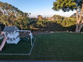 Enlarge photo 96