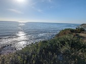 Enlarge photo 54