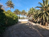Enlarge photo 82