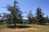 Enlarge photo 29