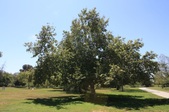 Enlarge photo 34