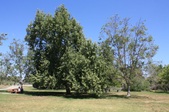 Enlarge photo 39