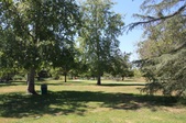 Enlarge photo 40