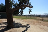 Parks and Neighborhoods