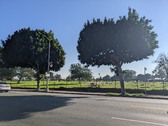 Enlarge photo 28