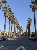 Enlarge photo 89