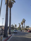 Enlarge photo 91