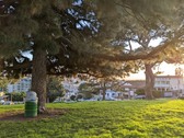 Enlarge photo 79