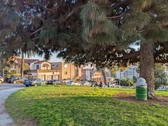 Enlarge photo 80