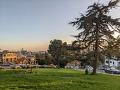 Enlarge photo 87