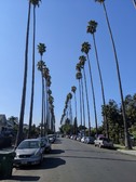 South LA