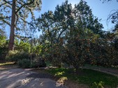 Enlarge photo 39