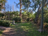 Enlarge photo 41