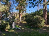 Enlarge photo 43