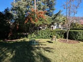 Enlarge photo 57