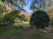 Enlarge photo 65