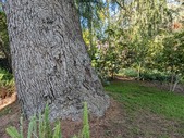 Enlarge photo 66