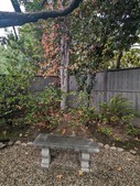 Enlarge photo 30