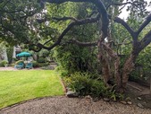 Enlarge photo 32