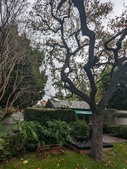 Enlarge photo 34
