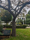 Enlarge photo 36