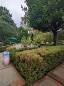 Enlarge photo 40