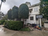 Enlarge photo 51