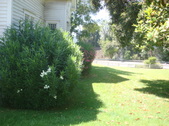 Enlarge photo 29