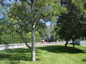 Enlarge photo 33