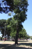 Enlarge photo 25