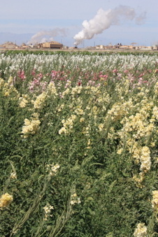 Enlarge photo 8