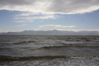 Enlarge photo 20