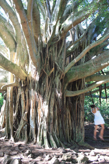 Enlarge photo 10
