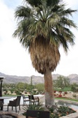 Enlarge photo 36