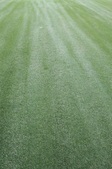 Enlarge photo 40