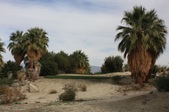 Enlarge photo 67