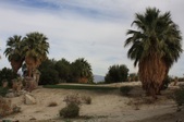Enlarge photo 68