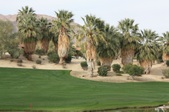 Enlarge photo 75