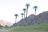 Enlarge photo 34