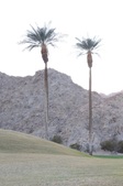 Enlarge photo 35