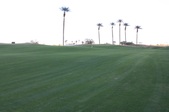Enlarge photo 36