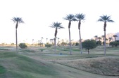 Enlarge photo 38